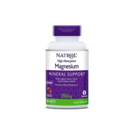 Natrol High Absorption Magnesium