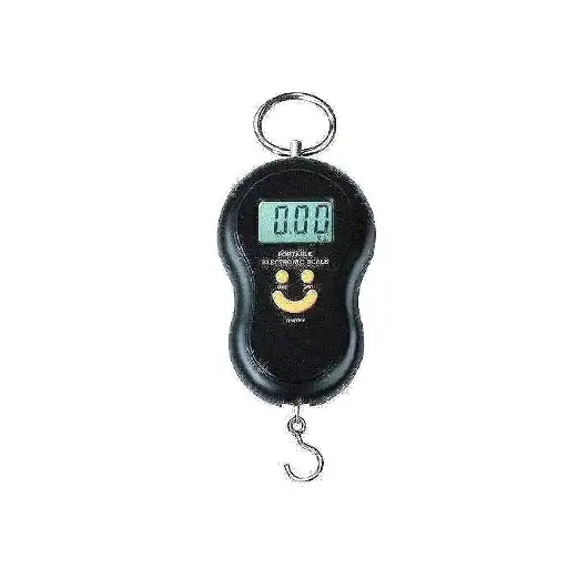 Electronic Portable Scale/Black 30kg*10g