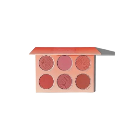 Sheglam Floral Flush Blush Palette Floral Flush